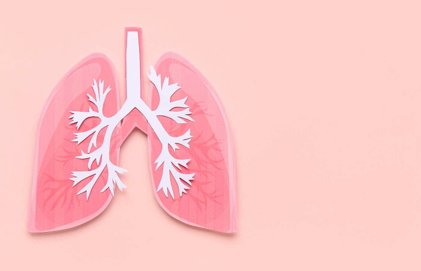 Difference Between Lung Cancer and Mesothelioma : Understand Symptoms and Prognosis