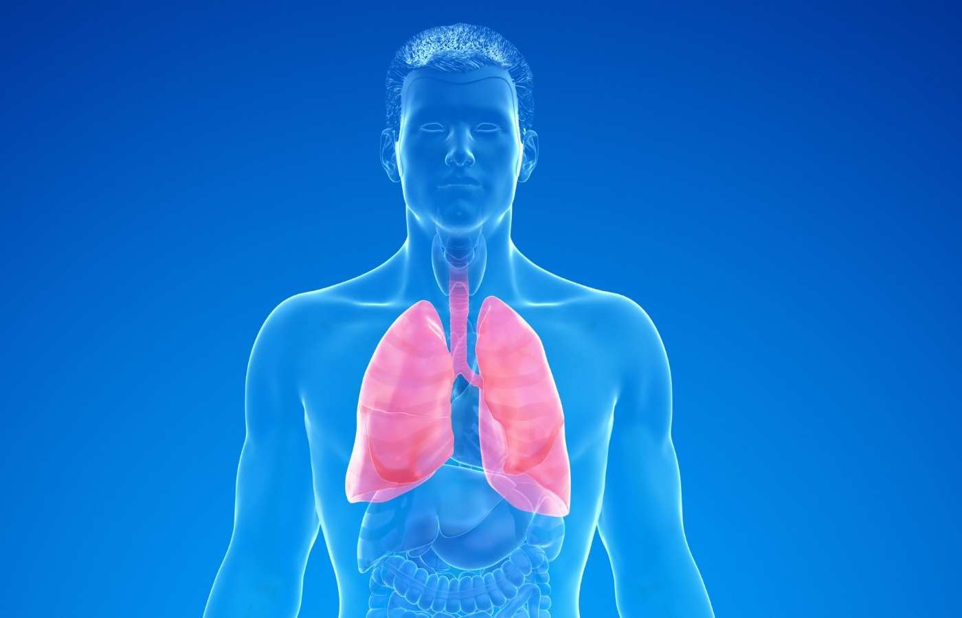 How Do Doctors Test for Mesothelioma? : A Comprehensive Guide