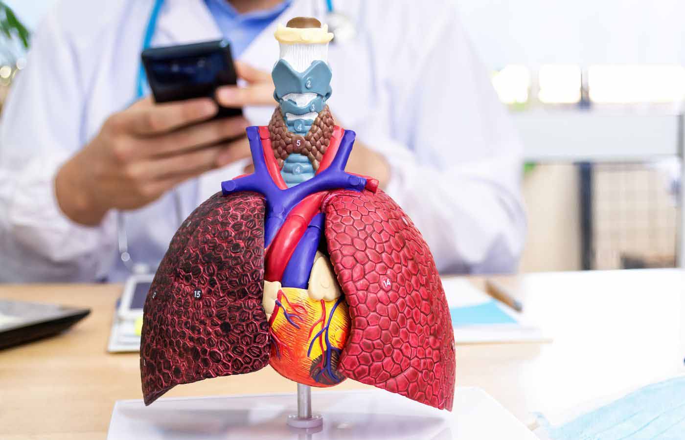 How Pleural Mesothelioma Diagnosis : Comprehensive Guide