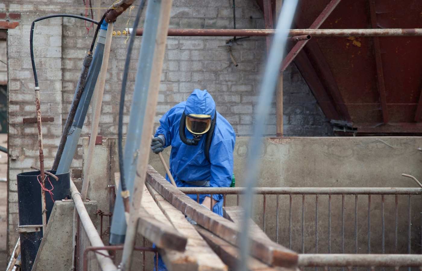 Is Mesothelioma Always Caused by Asbestos in 2024? 