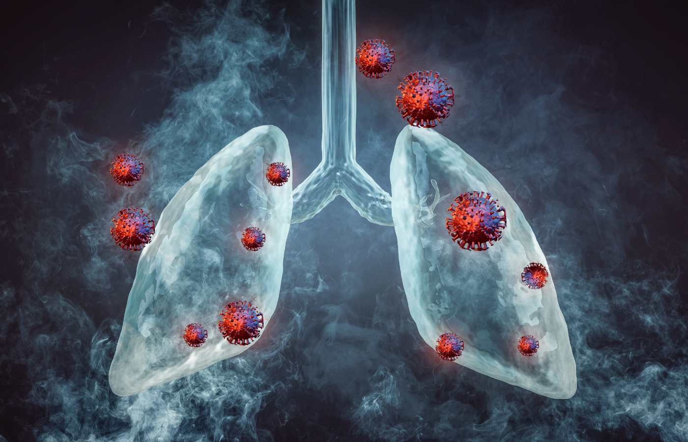 Where does Mesothelioma affect? Organs Most Affected